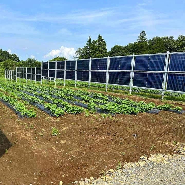 Galvanized No-Dig Solar Ground Anchors price